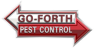 Pest Control Essex – A Must Have in Your Home